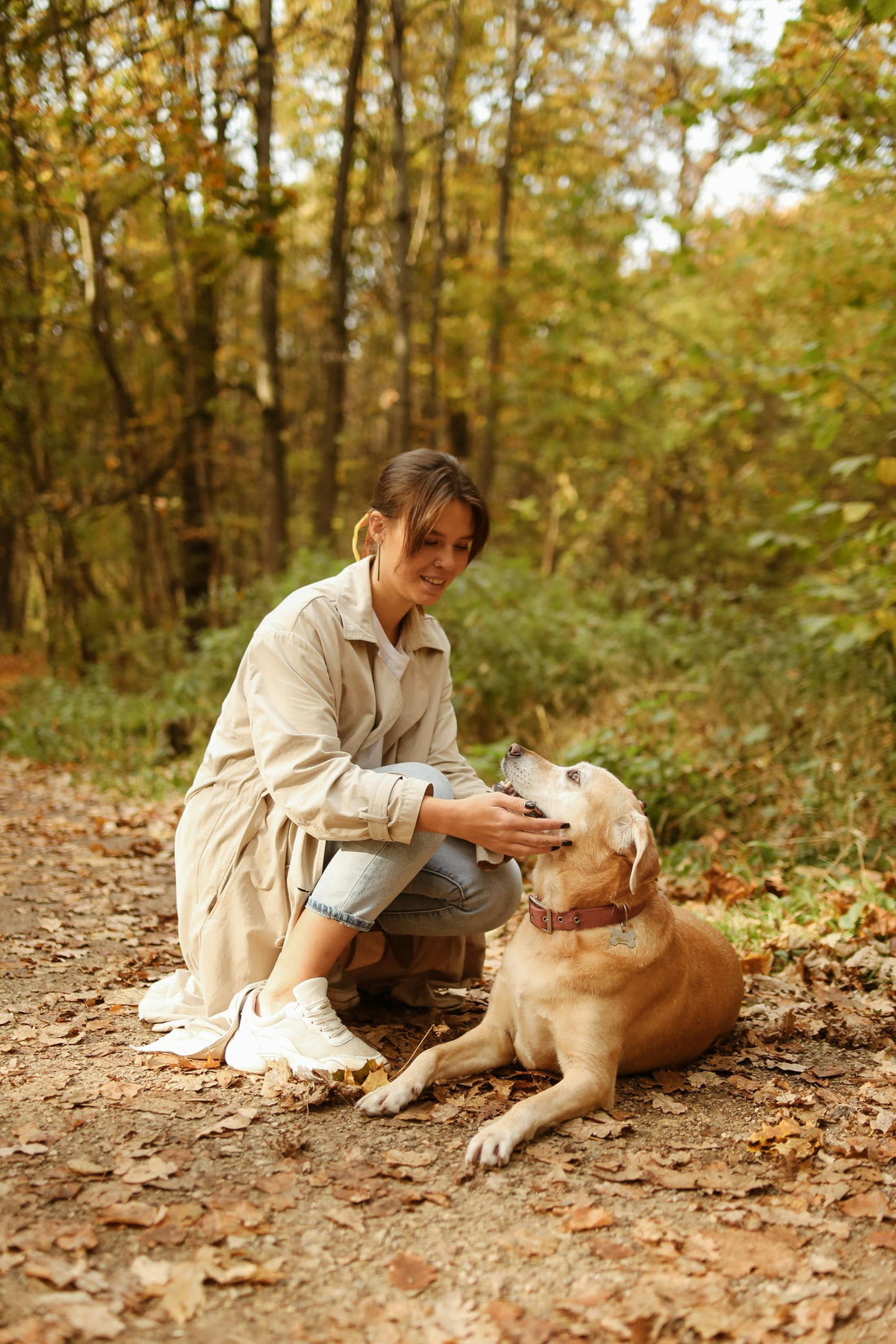 🐾 Accueillir un nouvel animal de compagnie : Les essentiels
