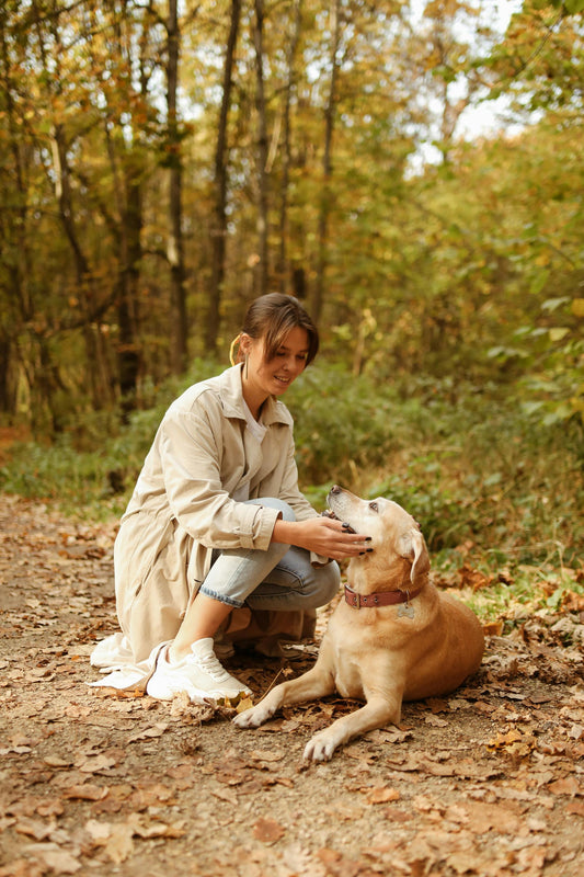🐾 Accueillir un nouvel animal de compagnie : Les essentiels