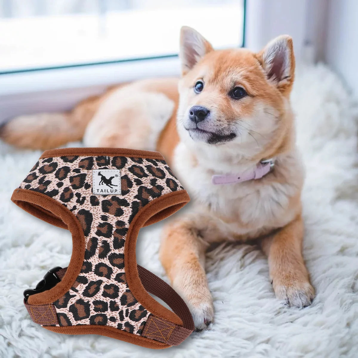 Harnais pour Chiens