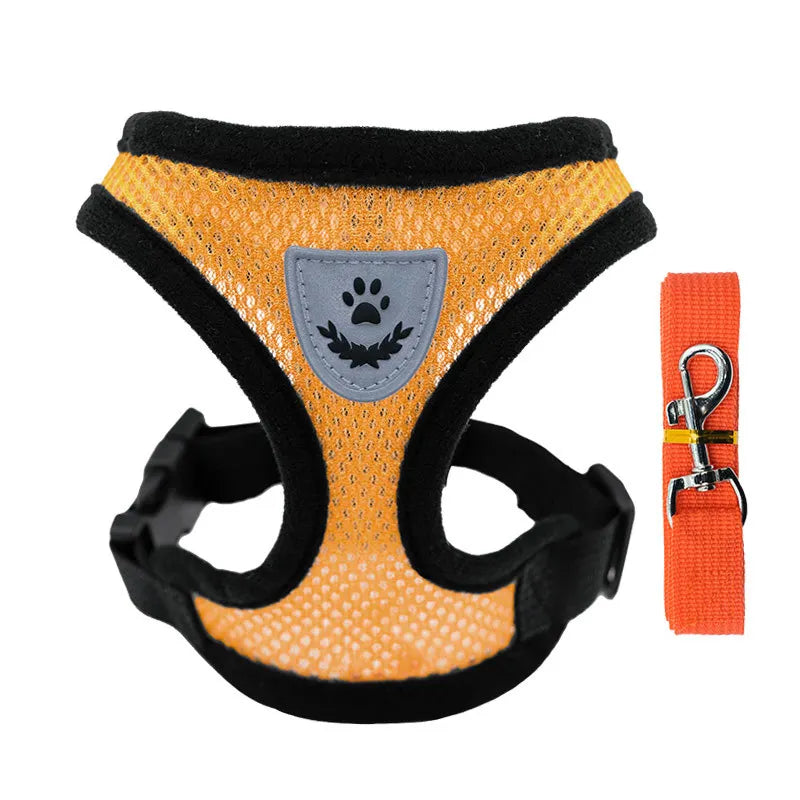 Harnais et Laisse pour petits chiens et chats - Ma boutique