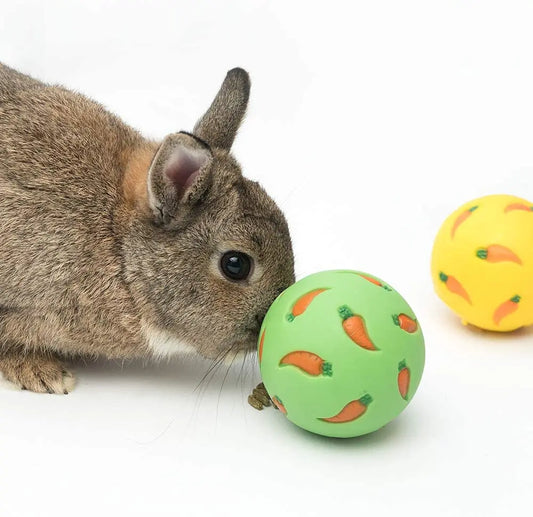 Boule de friandises interactive pour rongeurs