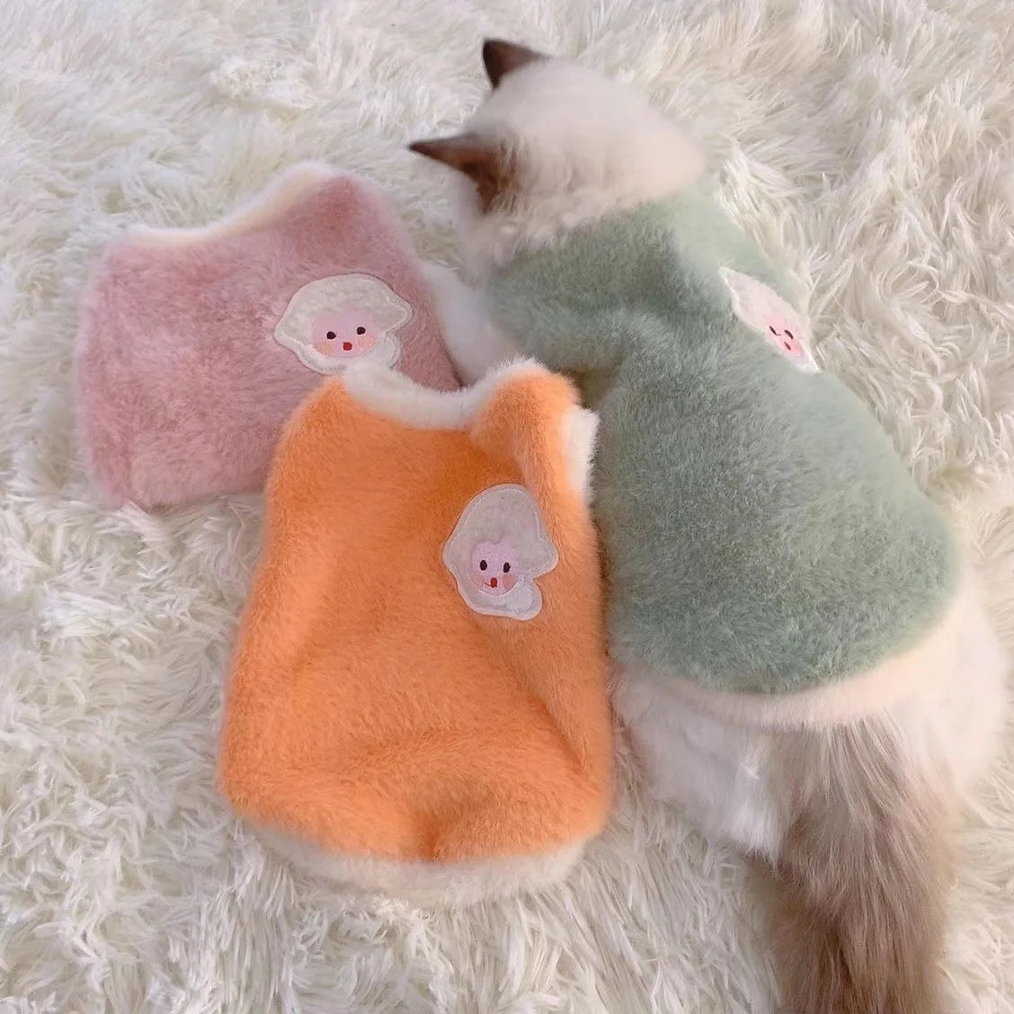 Vêtements chauds pour chats - Ma boutique