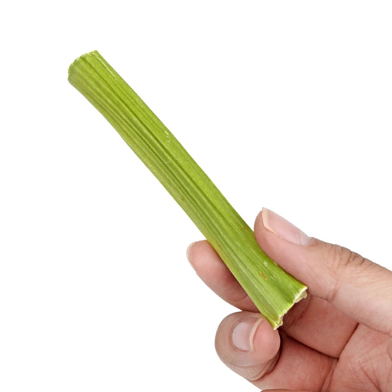Tiges de papaye naturelles à mâcher – Friandises dentaires pour rongeurs