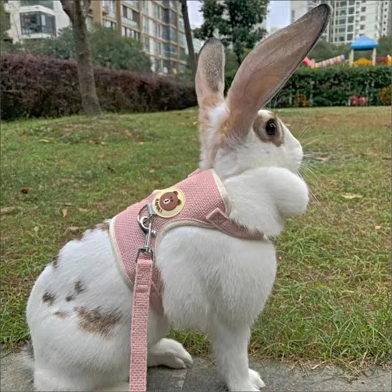 Ensemble harnais et laisse pour lapin – Gilet confortable pour les promenades en plein air