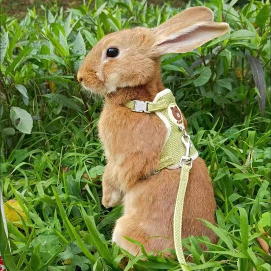 Ensemble harnais et laisse pour lapin – Gilet confortable pour les promenades en plein air