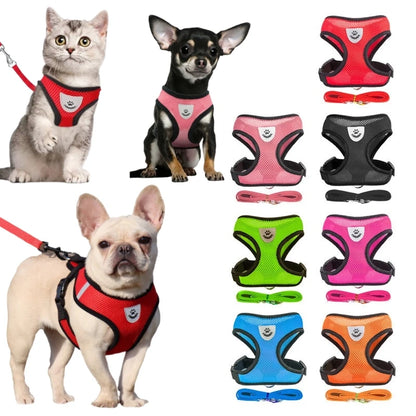 Harnais et Laisse pour petits chiens et chats - Ma boutique