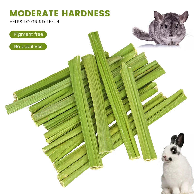Tiges de papaye naturelles à mâcher – Friandises dentaires pour rongeurs