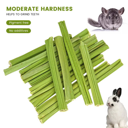 Tiges de papaye naturelles à mâcher – Friandises dentaires pour rongeurs