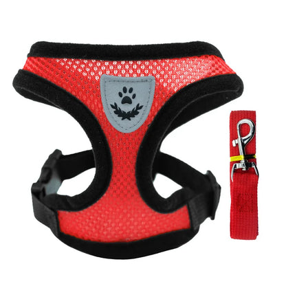 Harnais et Laisse pour petits chiens et chats - Ma boutique