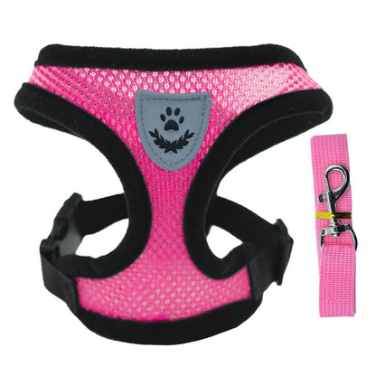 Harnais et Laisse pour petits chiens et chats - Ma boutique