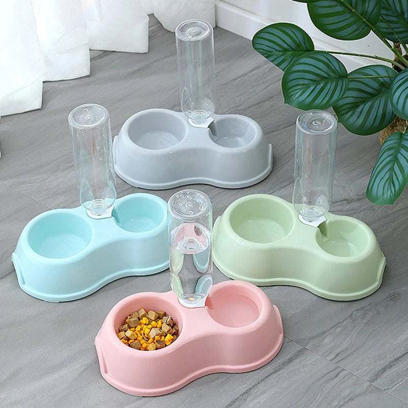 Gamelle de nourriture et d'eau pour chats et chiens - Ma boutique