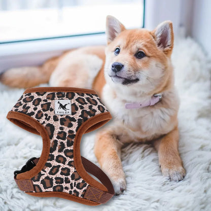 Harnais pour Chiens